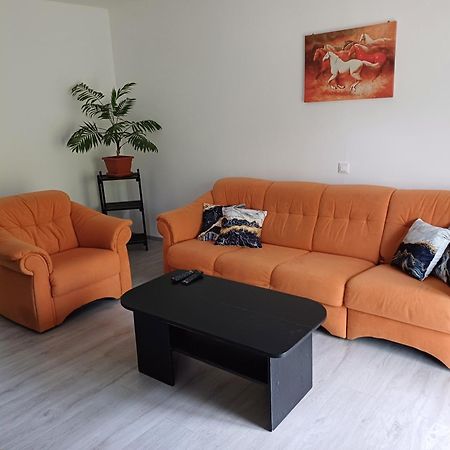 Apartma Ginga 奥斯尼卡 外观 照片